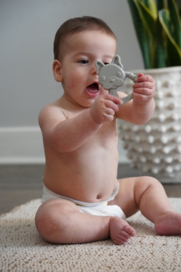 Imagine Set 2 jucării dentiție silicon Melii model bulldog + pisică