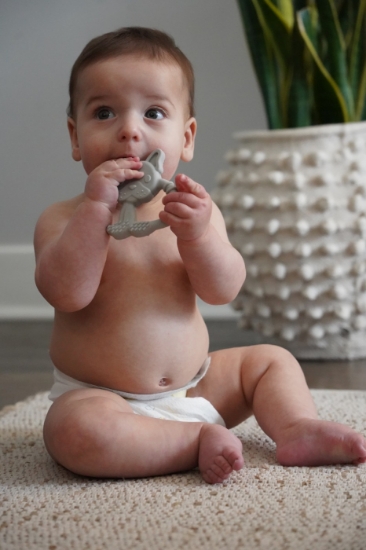 Imagine Set 2 jucării dentiție silicon Melii model bulldog + pisică