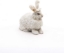 Imagine PAPO FIGURINA IEPURE ANGORA