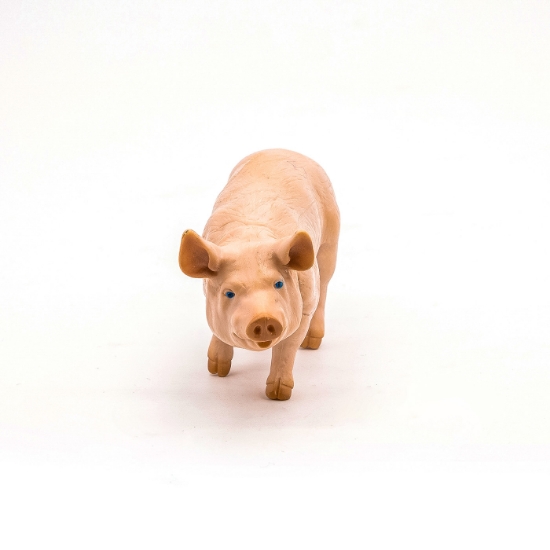 Imagine PAPO FIGURINA VIER