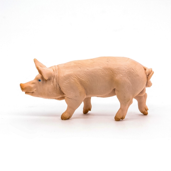 Imagine PAPO FIGURINA VIER