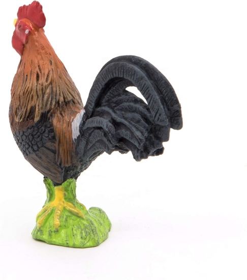 Imagine PAPO FIGURINA COCOSUL GALIC