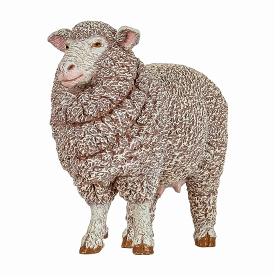 Imagine PAPO FIGURINA OAIE MERINOS