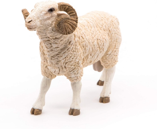 Imagine PAPO FIGURINA BERBEC