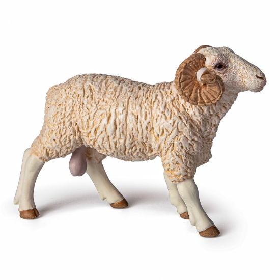 Imagine PAPO FIGURINA BERBEC