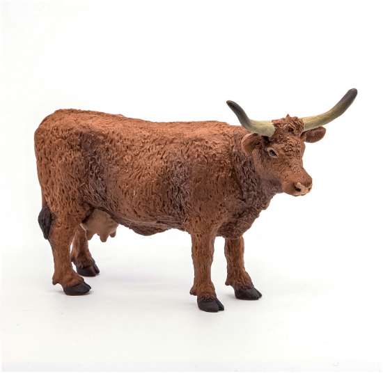 Imagine PAPO FIGURINA VACA SALERS