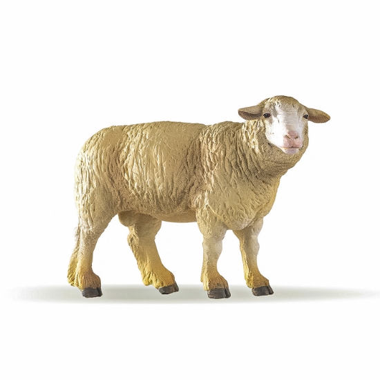 Imagine PAPO FIGURINA OAIE MERINOS