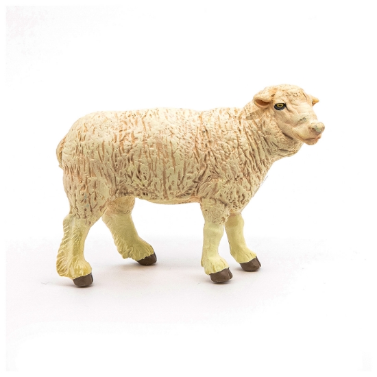 Imagine PAPO FIGURINA OAIE MERINOS