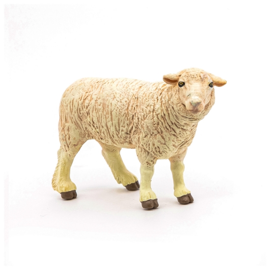 Imagine PAPO FIGURINA OAIE MERINOS