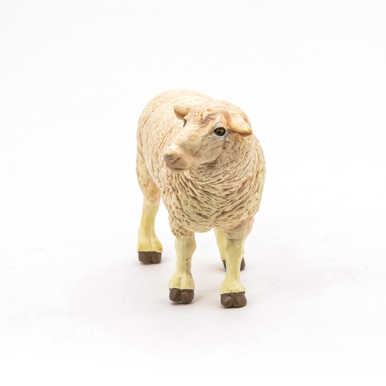 Imagine PAPO FIGURINA OAIE MERINOS