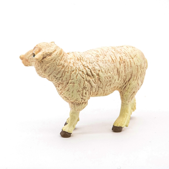 Imagine PAPO FIGURINA OAIE MERINOS