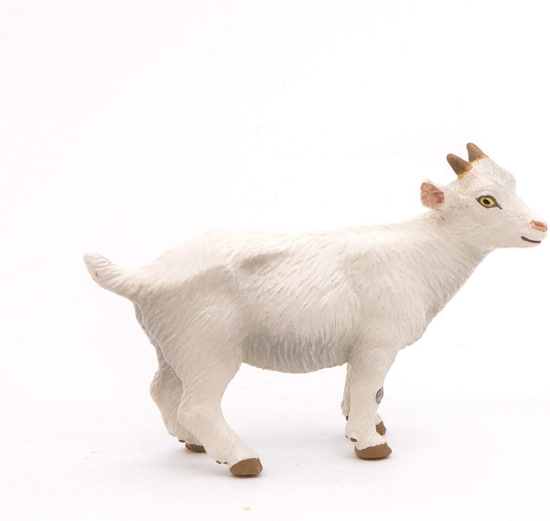 Imagine PAPO FIGURINA IED ALB