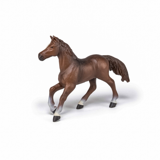 Imagine PAPO FIGURINA IAPA ANGLO-ARABA