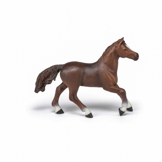 Imagine PAPO FIGURINA IAPA ANGLO-ARABA