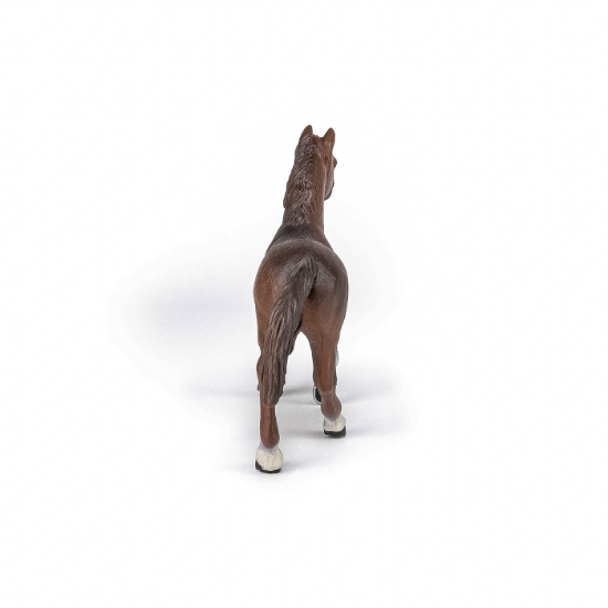 Imagine PAPO FIGURINA IAPA ANGLO-ARABA