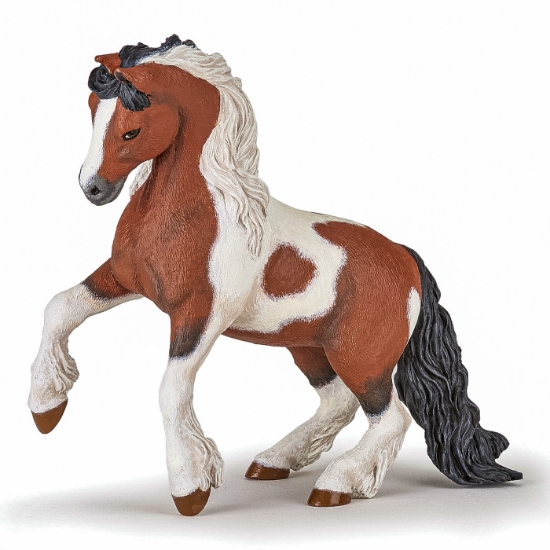 Imagine PAPO FIGURINA CAL IRISH COB PATAT