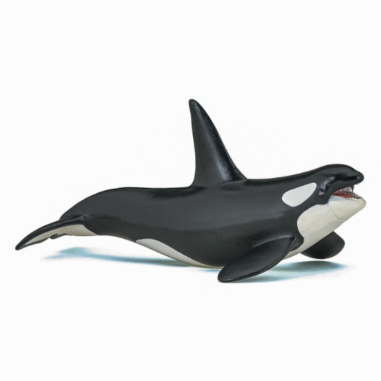 Imagine PAPO FIGURINA  BALENA UCIGASA