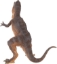 Imagine PAPO FIGURINA DINOZAUR GIGANTOSAURUS