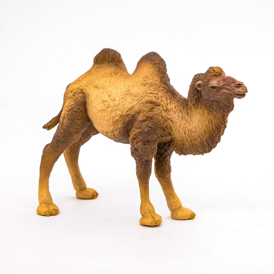 Imagine PAPO FIGURINA CAMILA BACTRIANA