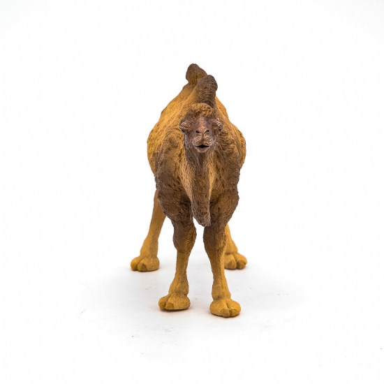 Imagine PAPO FIGURINA CAMILA BACTRIANA