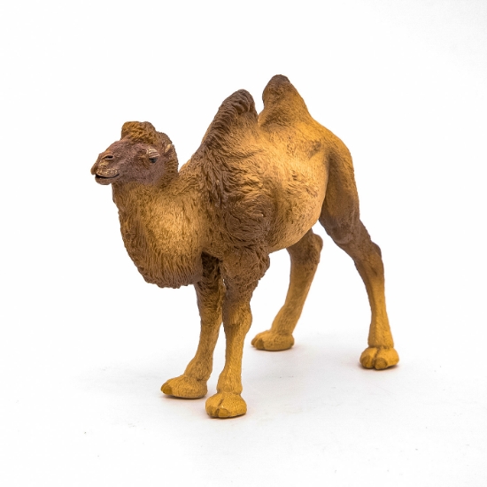 Imagine PAPO FIGURINA CAMILA BACTRIANA