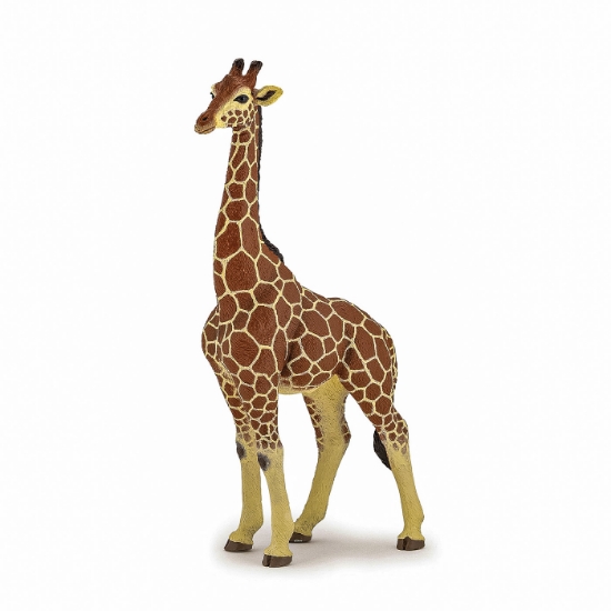 Imagine PAPO FIGURINA GIRAFA MASCUL