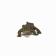 Imagine PAPO FIGURINA ALIGATOR