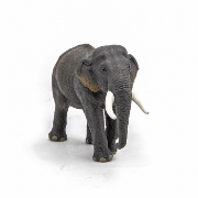 Imagine PAPO FIGURINA ELEFANT ASIATIC