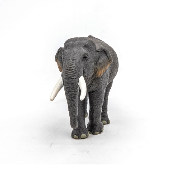 Imagine PAPO FIGURINA ELEFANT ASIATIC