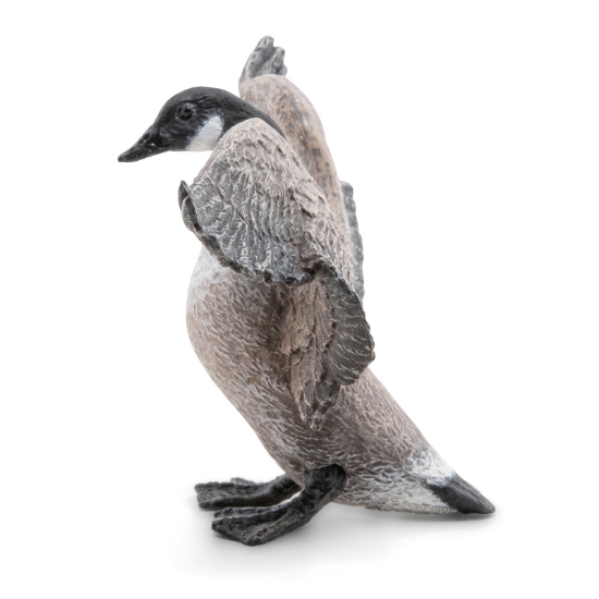 Imagine PAPO FIGURINA GASCA CANADIANA