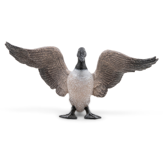 Imagine PAPO FIGURINA GASCA CANADIANA