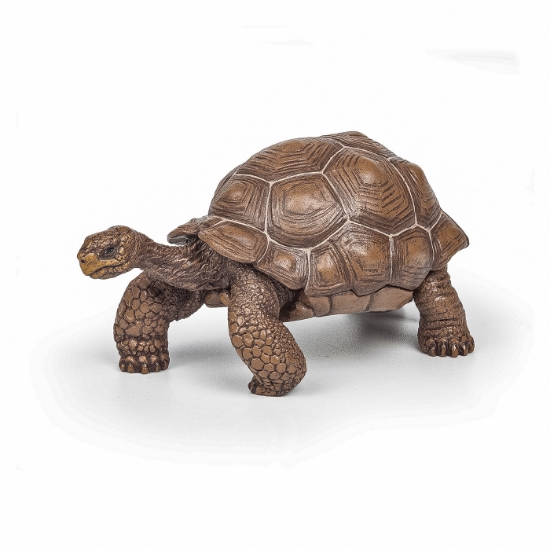 Imagine PAPO FIGURINA TESTOASA GALAPAGOS
