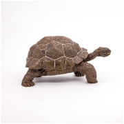 Imagine PAPO FIGURINA TESTOASA GALAPAGOS