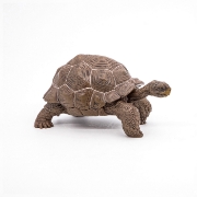 Imagine PAPO FIGURINA TESTOASA GALAPAGOS