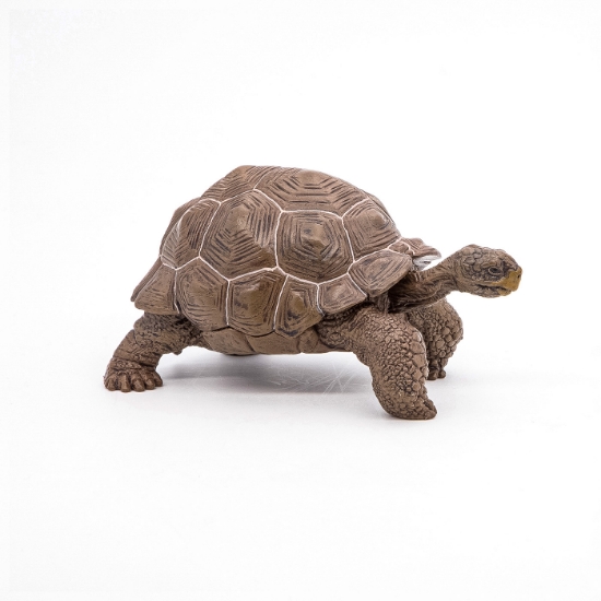 Imagine PAPO FIGURINA TESTOASA GALAPAGOS