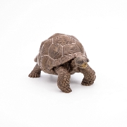 Imagine PAPO FIGURINA TESTOASA GALAPAGOS