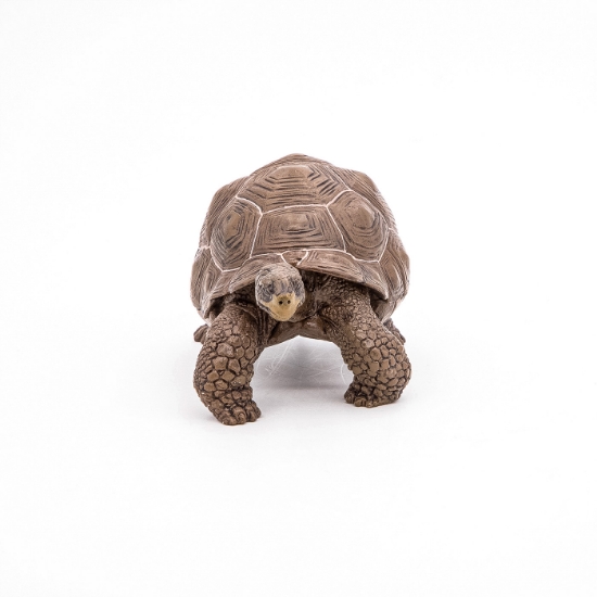 Imagine PAPO FIGURINA TESTOASA GALAPAGOS
