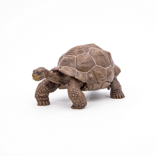 Imagine PAPO FIGURINA TESTOASA GALAPAGOS