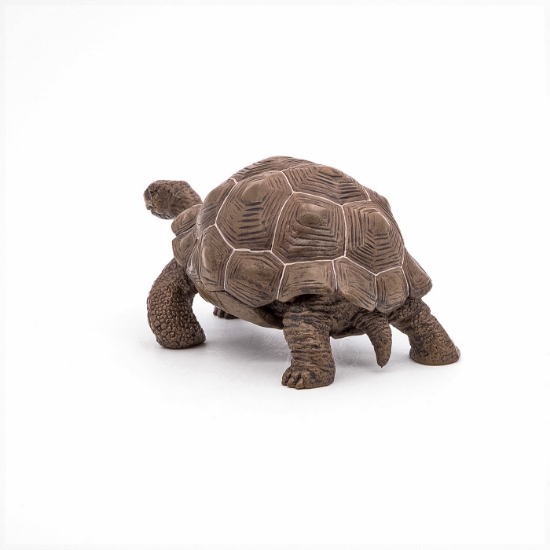 Imagine PAPO FIGURINA TESTOASA GALAPAGOS