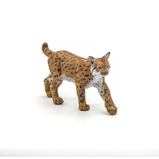 Imagine PAPO FIGURINA RAS