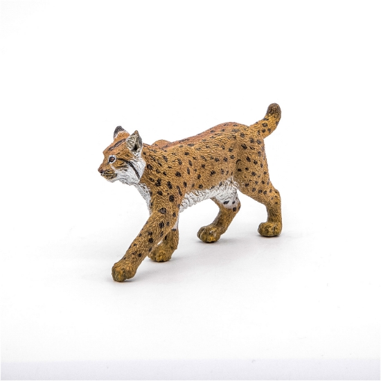 Imagine PAPO FIGURINA RAS