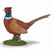 Imagine PAPO FIGURINA FAZAN