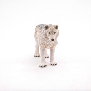Imagine PAPO FIGURINA LUP POLAR