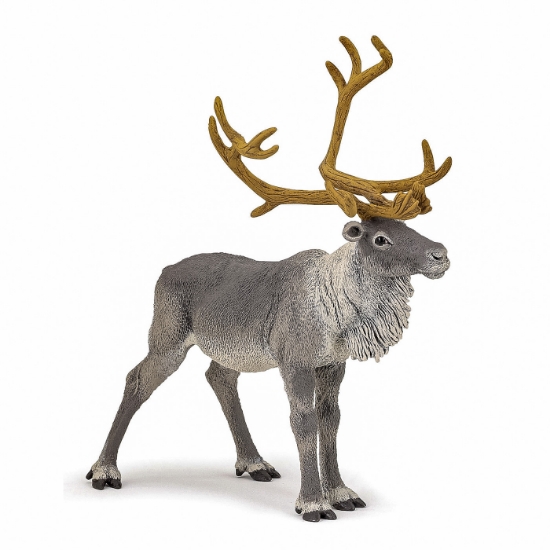 Imagine PAPO FIGURINA REN