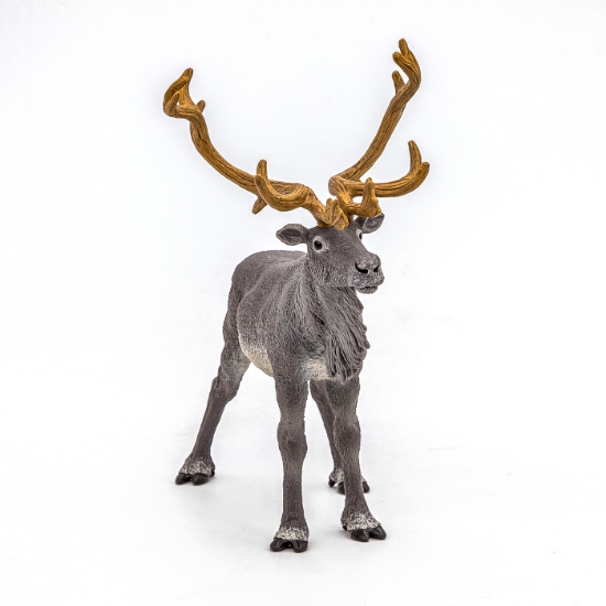 Imagine PAPO FIGURINA REN