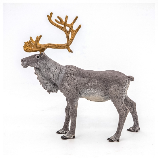 Imagine PAPO FIGURINA REN