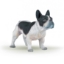 Imagine PAPO FIGURINA CATEL RASA BULLDOG FRANCEZ