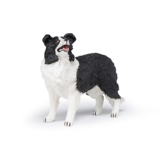 Imagine PAPO FIGURINA CATEL BORDER COLLIE