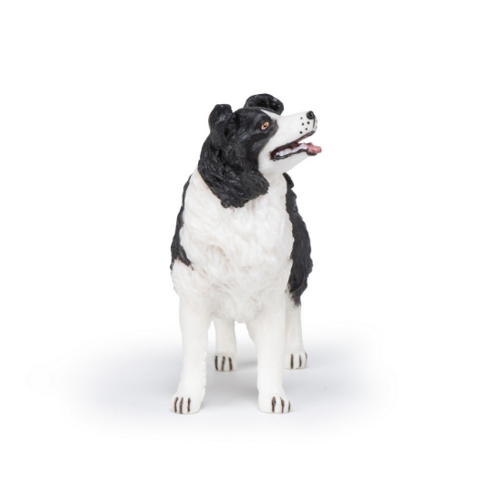 Imagine PAPO FIGURINA CATEL BORDER COLLIE