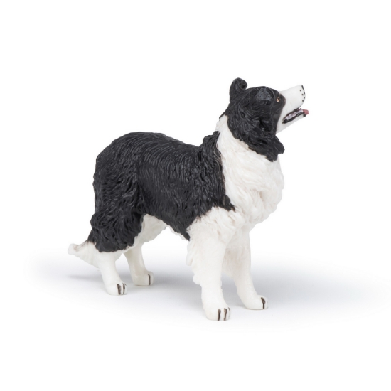 Imagine PAPO FIGURINA CATEL BORDER COLLIE